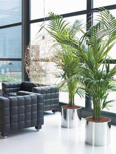 dicas para decoração em imagens