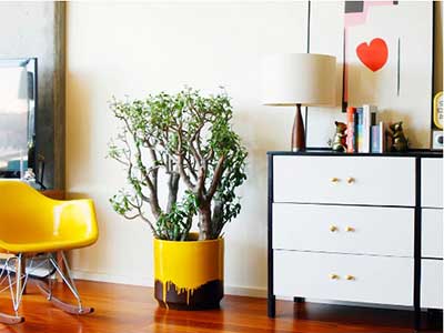 lugares decorados