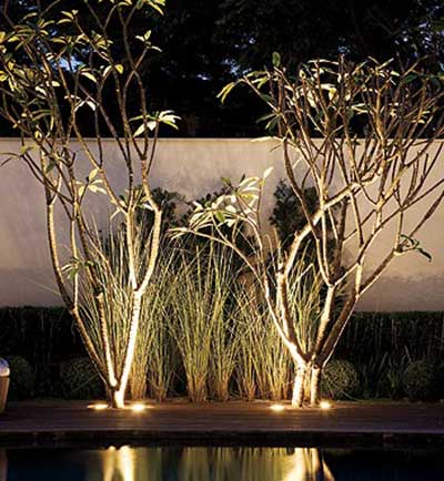 dicas de jardins