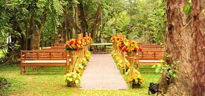 fotos de casamento no campo