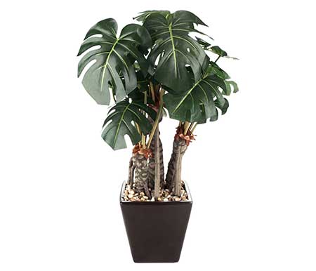 para decorar sua sala