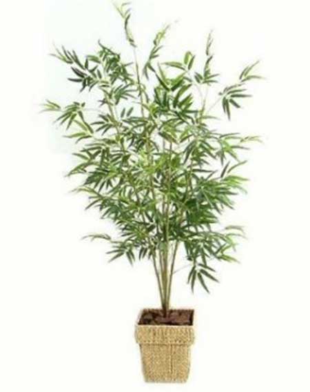 plantas artificiais