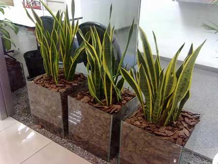fotos de decoração
