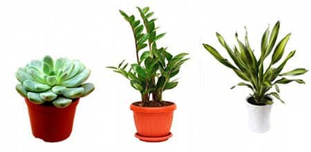 itens decorativos
