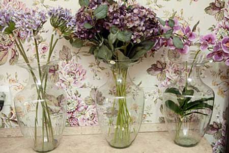 plantas decorativas em vasos