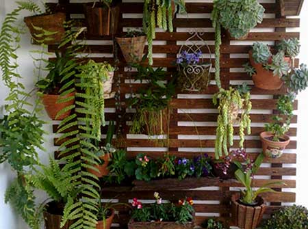 jardim vertical