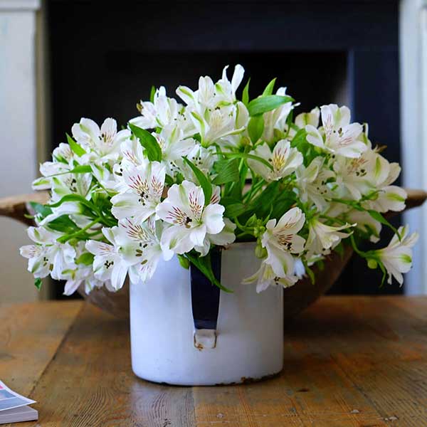 flores em canecas