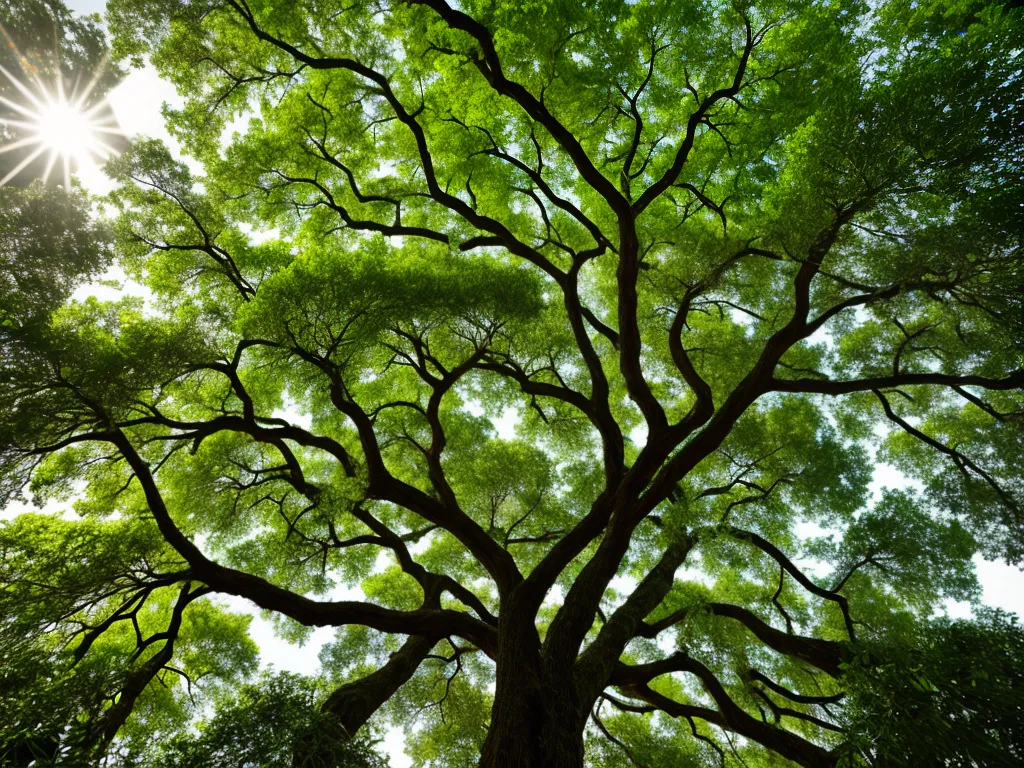 Descubra a Versatilidade do Chloroleucon Tortum
