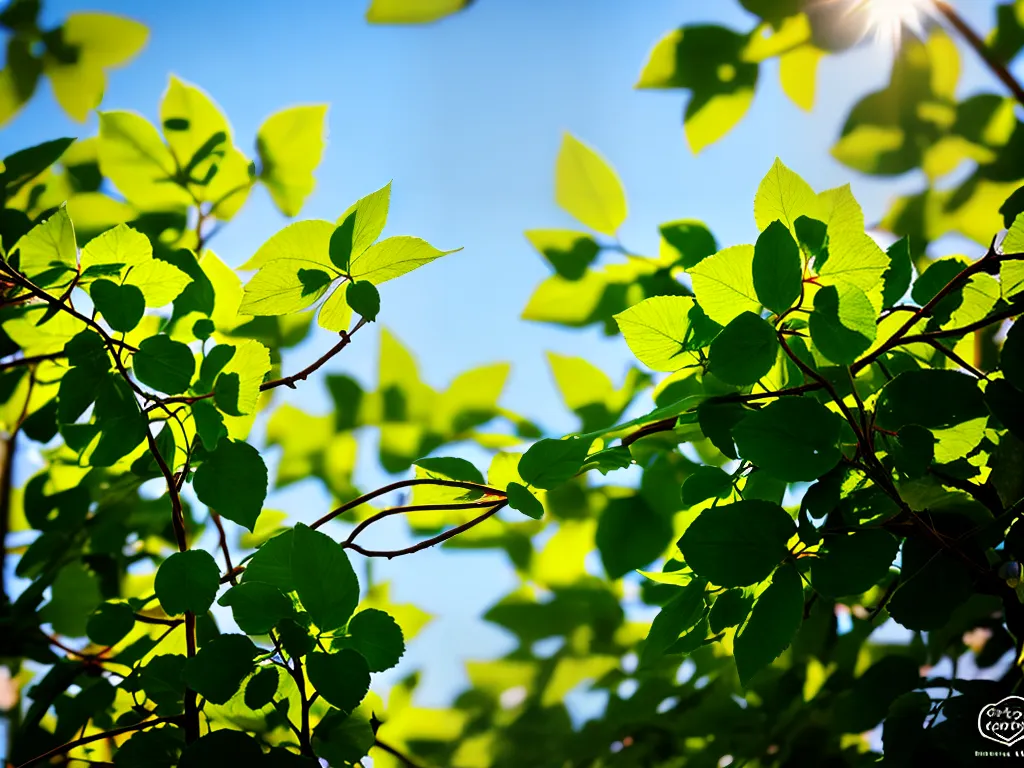 Escalando o Verde: Trepadeiras que Transformam Ambientes